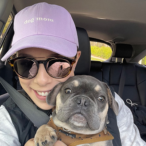 Gus the dog in car front seat